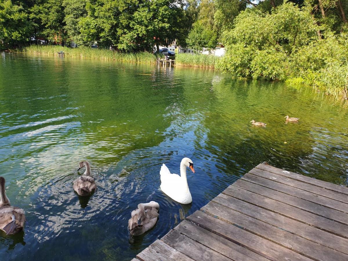 W Sadzie - Gosciniec Lech Holiday home Kosewo (Mragowo)